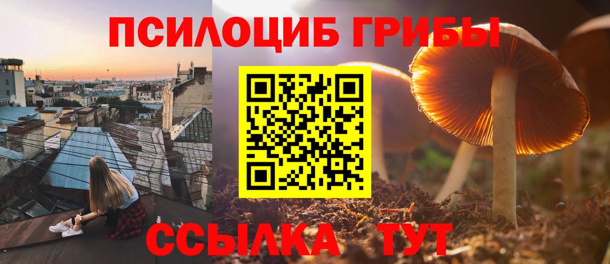 продажа наркотиков  Вход с VPN  Кострома  Псилоцибиновые грибы мухоморы  Галлюциногенные грибы мицелий 