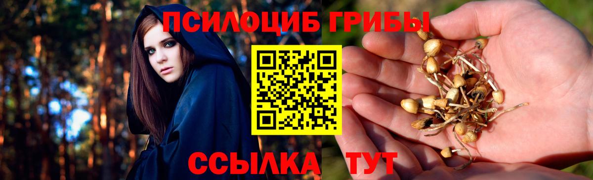 Галлюциногенные грибы GOLDEN TEACHER Кострома